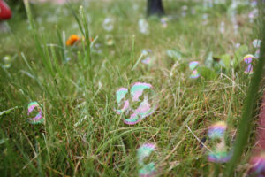 Featured image for: An Tan Tiri Mogo Dan