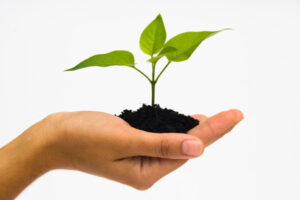 Featured image for: 100 Ways To Live A Better Life – 71. Help Others