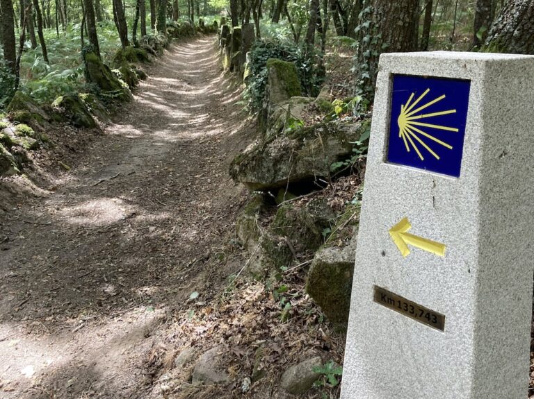 Featured image for: A Typical Day On Camino