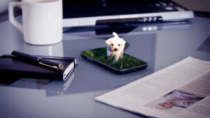 iphone dog